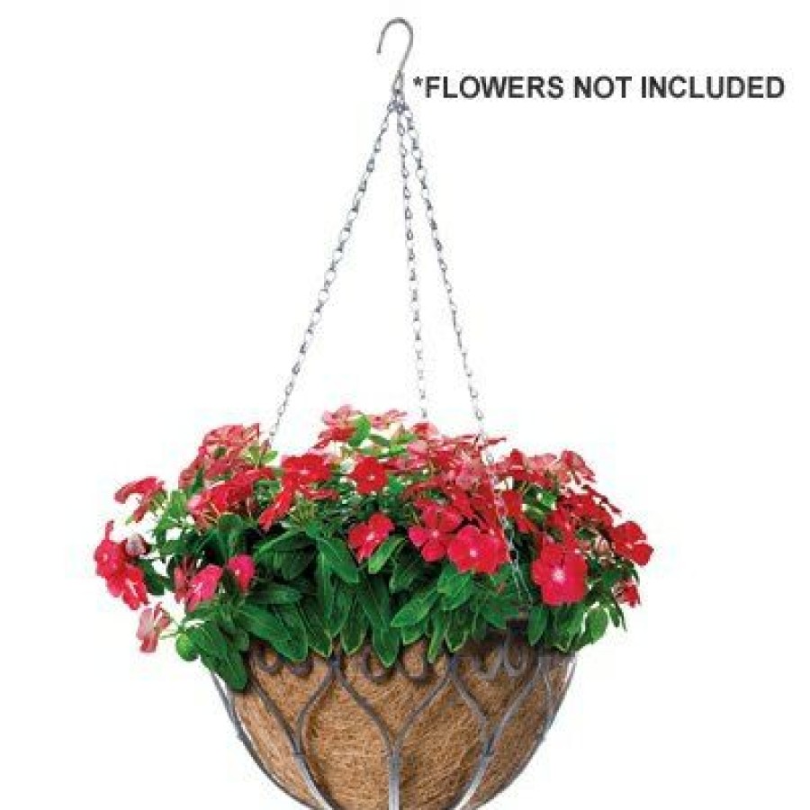 * Sales Online Savanna Hanging Plant Basket, Antique Iron, 14-In.