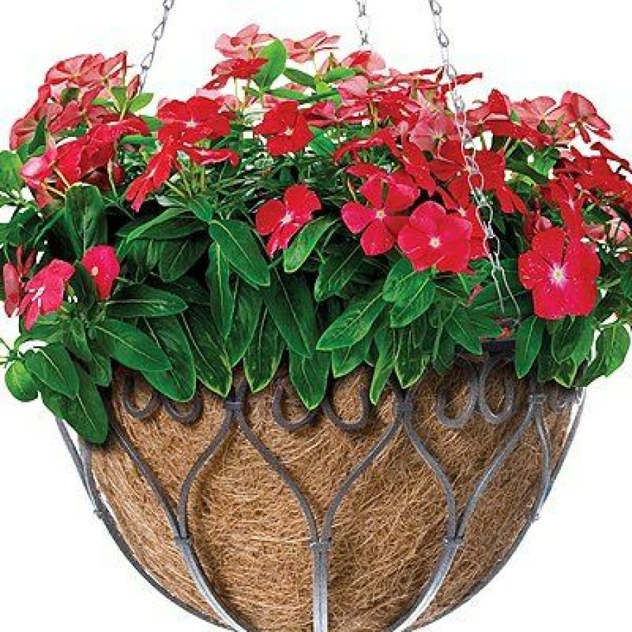 * Sales Online Savanna Hanging Plant Basket, Antique Iron, 14-In.