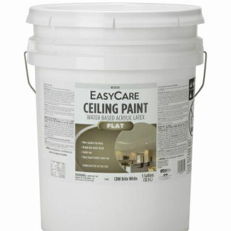 * On Sale Latex Ceiling Paint, Brite White Flat Latex, 5 Gallons