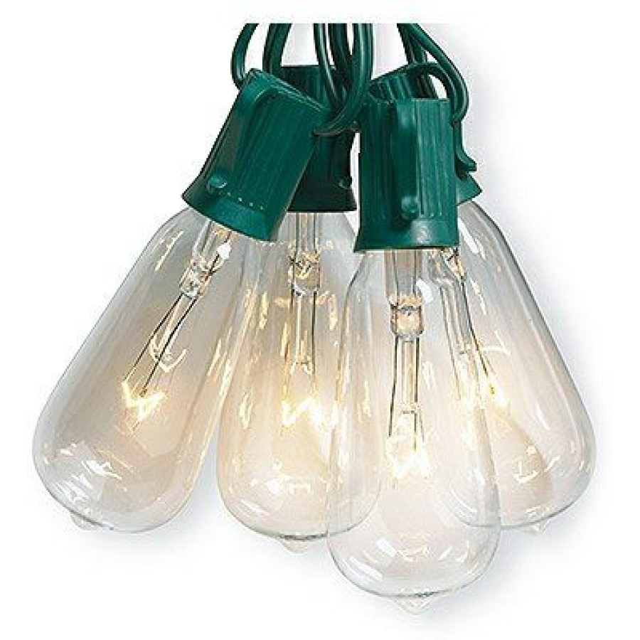 * Prefential Price String Light Set, 10 Edison-Style Bulbs