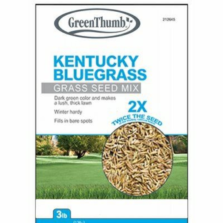 * Half Off Grass Seed, Kentucky Bluegrass, 3 Lbs., Covers 1,500 Sq. Ft.