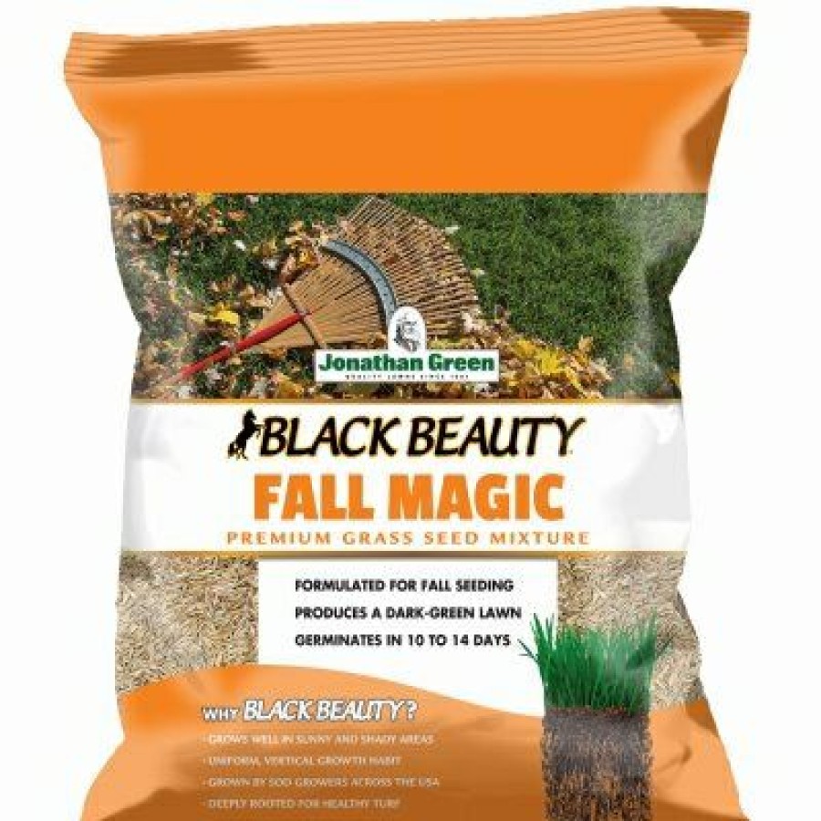 * Clearance Black Beauty Fall Magic Grass Seed, 7 Lbs.