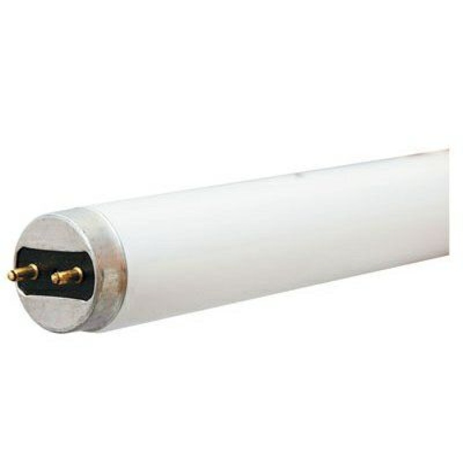 * Clearance Fluorescent Light Bulb, High Output, 4800 Lumens, 54 Watt