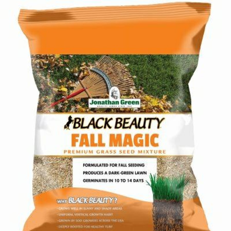 * Discount Online Fall Magic Grass Seed, 3 Lbs.