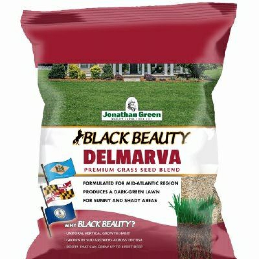 * Special Offers Black Beauty, Delmarva Mix Grass Seed, 3 Lbs.